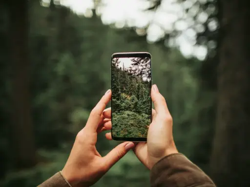 Dłonie trzymają telefon, na ekranie którego widać gęsty las. Dowiedz się, jak ustawić aparat w telefonie, by uchwycić piękno natury.
