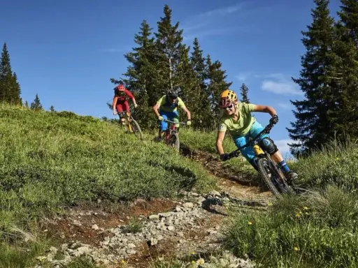 Tre cyklister njuter av att cykla i skogen på en solig dag.