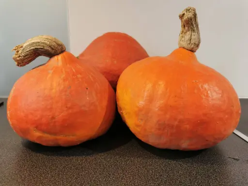 Trois courges orangées, peut-être pour illustrer la différence potiron et potimarron, avec leurs queues noueuses.