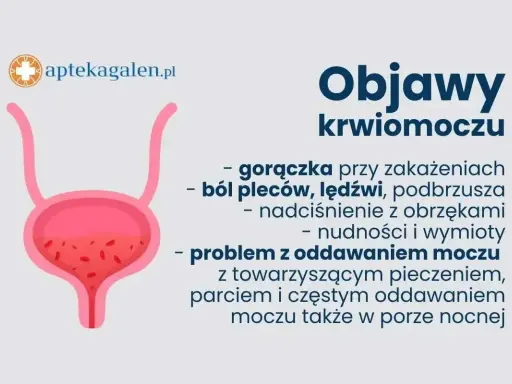 Objawy krwiomoczu: gorączka, ból pleców, nadciśnienie, nudności, wymioty, problem z oddawaniem moczu. Uszkodzenie cewki moczowej objawy mogą być podobne.
