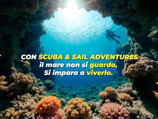 Subacqueo esplora un colorato reef corallino. L'immersione sportiva ti porta a vivere il mare, non solo a guardarlo.