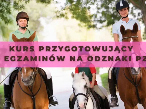 Odznaka Jeżdżę Konno PZJ: Zdać egzamin? Mój poradnik.