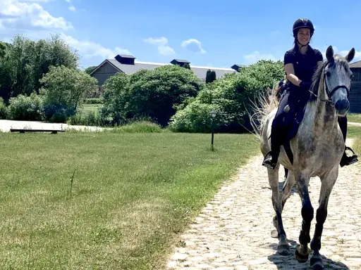Stadnina koni Mazury: Wybierz idealne miejsce na jeździeckie wakacje