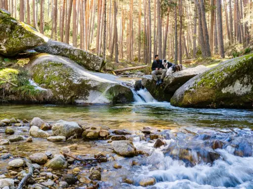 Hombre y perro descansan junto a un arroyo en el bosque. El agua fluye sobre rocas, creando un efecto de boca del asno baño natural.