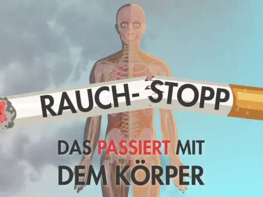 Rauch-Stopp: Ein zerbrochenes Zigarettenstück mit der Aufschrift "Rauch-Stopp" liegt vor einer transparenten menschlichen Anatomie. Darunter steht "Das passiert mit dem Körper".