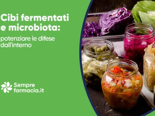 Cibi fermentati per una dieta che supporta il microbiota: un esempio di benessere dall'interno.