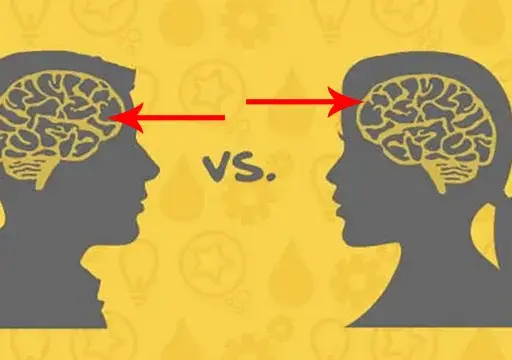 Mózg kobiety vs. mężczyzny: Jak zrozumieć różnice w związku?
