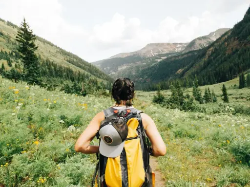Kobieta z plecakiem wyrusza na trekking przez łąkę pełną kwiatów, w kierunku górskich szczytów.