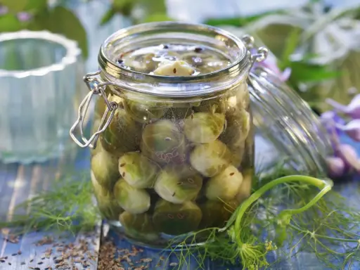 Glas mit eingelegtem Rosenkohl, bereit zum Einkochen. Kümmel und Dill umgeben das Glas.