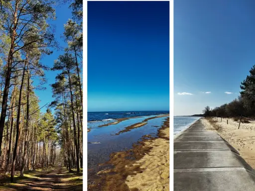 Wyspa Sobieszewska atrakcje: leśna ścieżka, plaża z wodą odbijającą niebo i betonowa promenada nad morzem.