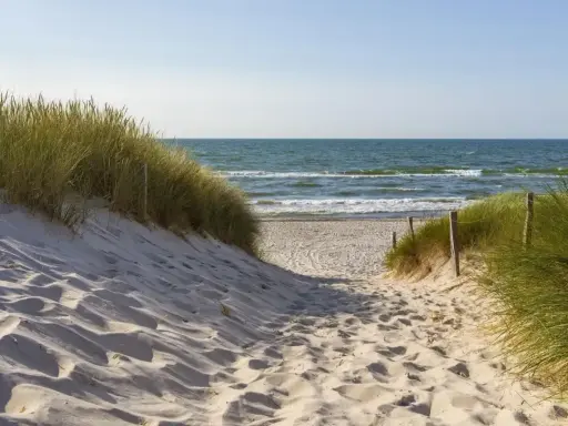Piaskowa ścieżka prowadzi na plażę. Kiedy najlepiej jechać nad morze po jod? Wiosna i jesień to idealne pory roku.