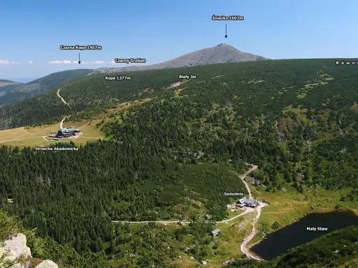Widok na Karkonosze z górującą Śnieżką. W dole lasy, hale i Mały Staw. Słonecznik górski kwitnie na zboczach.
