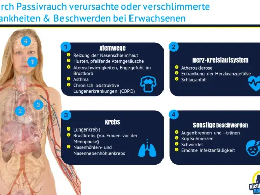 Illustration zeigt, wie Passivrauchen Asthma und andere Krankheiten verursacht.
