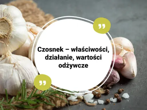 Główki czosnku na tle jutowego worka i ciemnego blatu. Tekst: "Czosnek – właściwości, działanie, wartości odżywcze". Czy czosnek jest zdrowy? Tak, to naturalny lek!