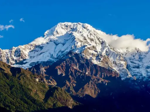 Majestatyczny szczyt w Himalajach 8091 m, pokryty śniegiem, góruje nad zielonymi zboczami.