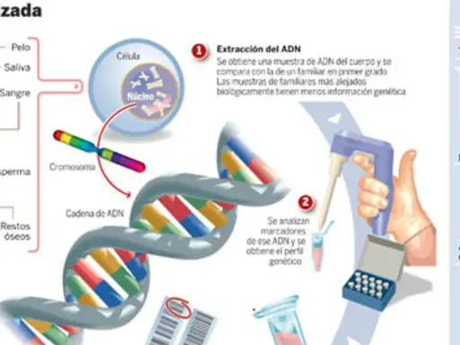 Ilustración explica qué es la genética: extracción de ADN de muestras biológicas, análisis de cromosomas y cadenas de ADN para perfiles genéticos y pruebas.