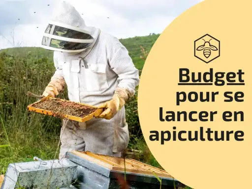 Apiculteur en tenue examinant une ruche. Le texte indique "Budget pour se lancer en apiculture", idéal pour ceux qui rêvent d'avoir une ruche chez soi.