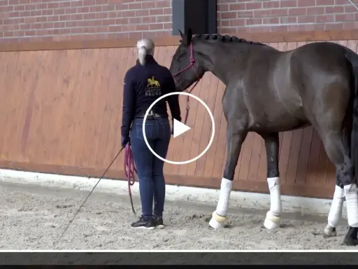 Eine Reiterin mit Gerte und Longe bereitet ein Pferd auf den Reitsport Springen vor.