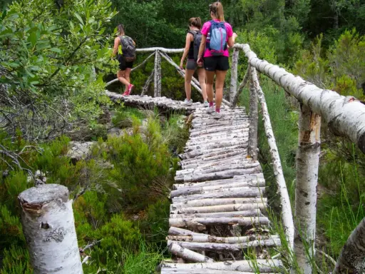 Tres mujeres disfrutan de las rutas senderismo Zamora, cruzando un puente rústico de madera entre vegetación frondosa.
