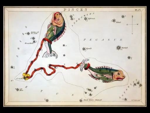 Stara mapa gwiazd przedstawia konstelację Ryb, symbolizującą horoskop Ryby. Zdrowie i dobre samopoczucie są kluczowe dla tego znaku zodiaku.
