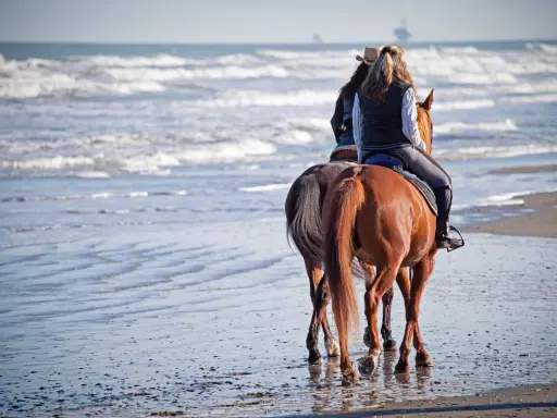 Due persone fanno una passeggiata a cavallo sul mare, con le onde che lambiscono la riva.