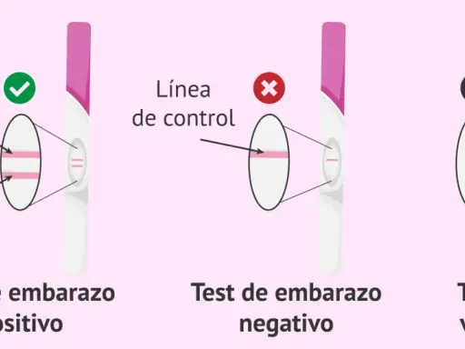 Test de embarazo positivo: dos líneas indican que estoy embarazada. Negativo: una línea. Inválido: sin líneas.