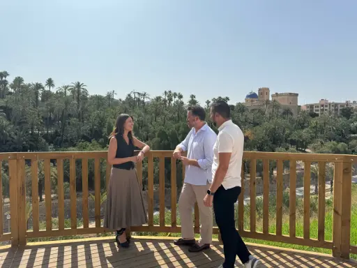 Tres personas conversan en la terraza de la cafetería mirador Elche, con un frondoso palmeral y el casco antiguo de la ciudad al fondo.