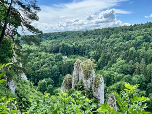 Wąwóz z wapiennymi ostańcami i bujną zielenią. Czy to jeden z 23 parków narodowych w Polsce?
