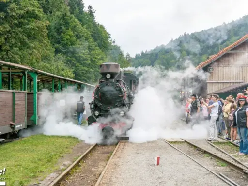 Parowóz z wagonami na tle lasu, tłum ludzi czeka na przejażdżkę. Bieszczady atrakcje dla dzieci to podróż w czasie!