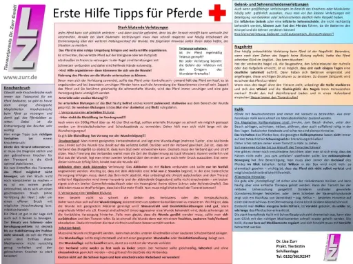 Erste Hilfe bei einem **unfall pferd**: Stark blutende Verletzungen erfordern schnelles Handeln. Hier Tipps zur Blutstillung und Wundversorgung.