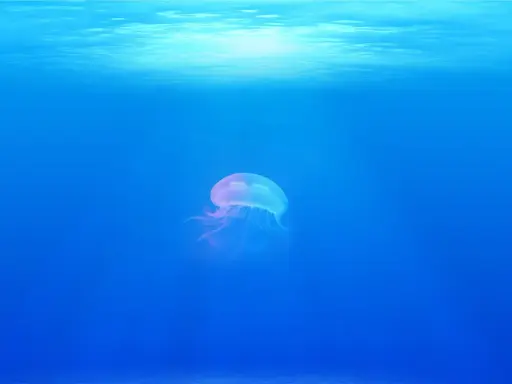Una medusa trasparente fluttua nelle acque blu della Sardegna, illuminata dalla luce solare che filtra dall'alto.
