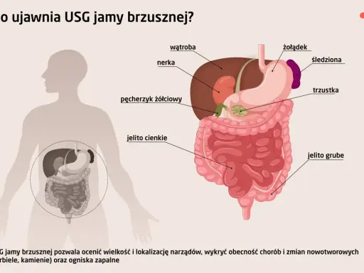 Ilustracja przedstawia narządy jamy brzusznej: wątrobę, żołądek, nerki, trzustkę, jelita, pęcherzyk żółciowy i śledzionę. USG jamy brzusznej pomaga wykryć choroby.