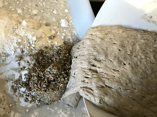 En närbild på surdeg som skiktar sig med bubblor och korn. En del av degen har en slätare yta, medan en annan del är mer kornig och blandad med mjöl och vatten.