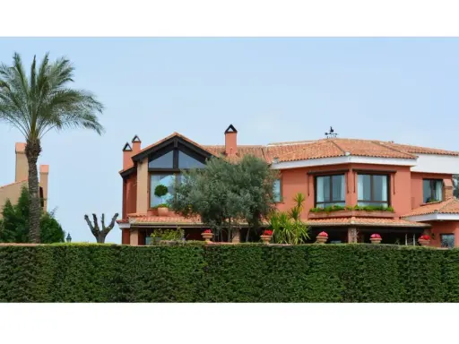 Vistas de casas de lujo en Granada, con palmeras, olivos y un seto verde.