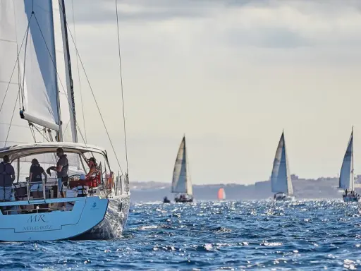 Mehrere Segelboote auf dem Meer, eines mit pinkem Segel, im Hintergrund eine Stadt. Ein spannendes Rennen beim arc segeln.