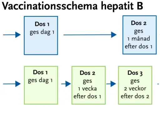 Schema för vaccin mot hepatit B, inklusive Twinrix. Visar normalt schema med doser på 0, 1 och 6 månader, samt snabbschema vid behov.