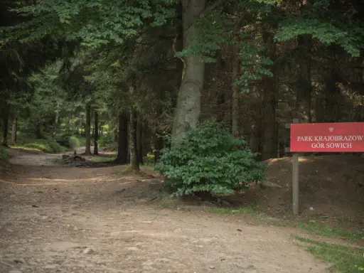 Leśna ścieżka w Parku Krajobrazowym Gór Sowich. Czerwony znak informuje o trasie.