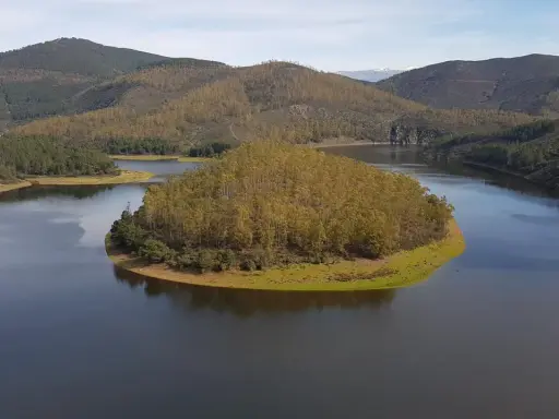 El meandro del Melero, una isla verde rodeada de agua serena, se abre paso entre colinas boscosas bajo un cielo azul.