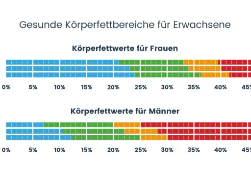 Gesunde Körperfettbereiche für Erwachsene: Frauen (20-79) und Männer (20-79) mit Werten von 0-50%. Ideal sind Werte um 10% Körperfett.