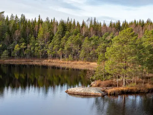 En stilla sjö speglar en tät barrskog. Perfekt för en lugn vandra i Stockholm.