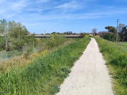 Sentiero ghiaioso della ciclovia del Savio, fiancheggiato da erba verde e fiori gialli, con un fiume sulla sinistra e case in lontananza.