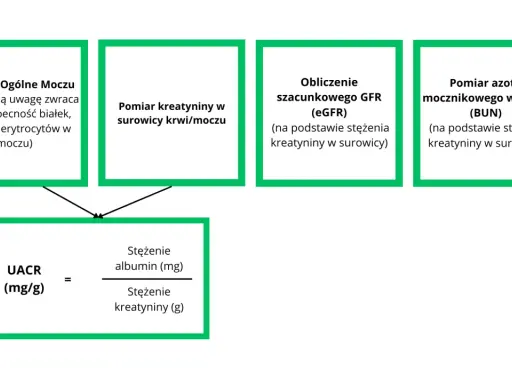 Schemat oceny funkcji nerek: badanie moczu, pomiar kreatyniny, obliczenie eGFR, pomiar BUN, UACR. Pomaga w diagnostyce stadia niewydolności nerek.