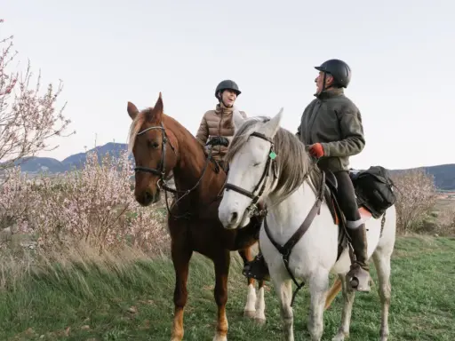 Jazda konna Bieszczady: Stadniny, rajdy, ceny. Twój przewodnik