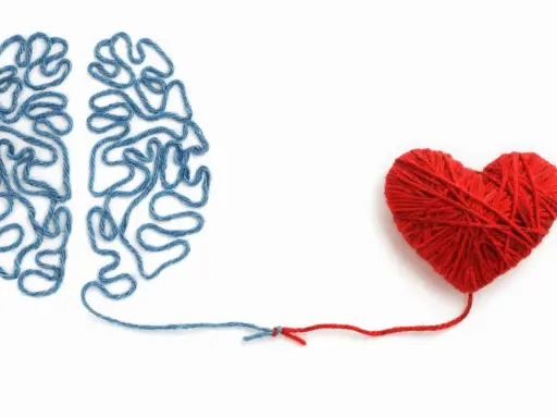 Cervello di filo blu collegato a un cuore di filo rosso. Un elenco di sentimenti ed emozioni che uniscono mente e cuore.