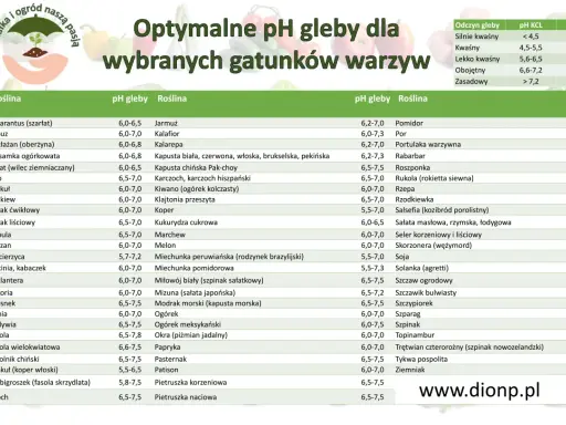 Tabela optymalnego pH gleby dla wybranych gatunków warzyw. Znajdziesz tu informacje o tym, jakie pH gleby jest najlepsze dla Twoich roślin.