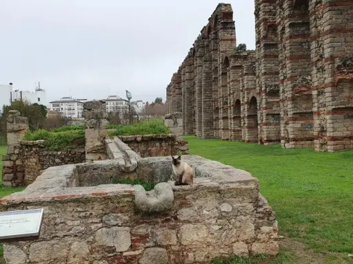 Eine Katze sitzt auf alten Steinen vor dem römischen Aquädukt von **Mérida, Spanien**.