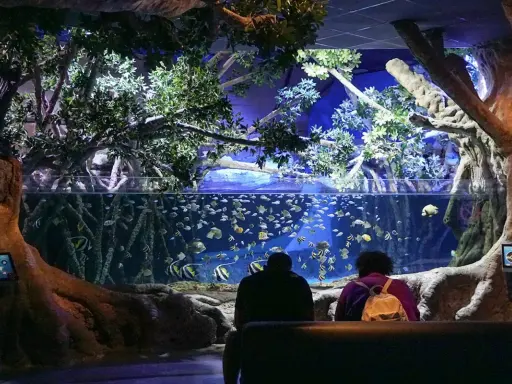 Besucher bestaunen im Aquarium Sevilla eine Welt voller bunter Fische, umgeben von üppiger Vegetation und beeindruckenden Baumstämmen.