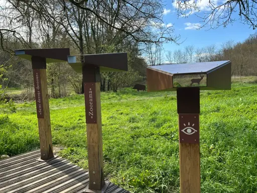 Des jumelles d'observation dans un parc, une affiche "Sens dessus dessous" et une autre "Zoorama". Un cerf et un sanglier sont visibles dans le paysage.