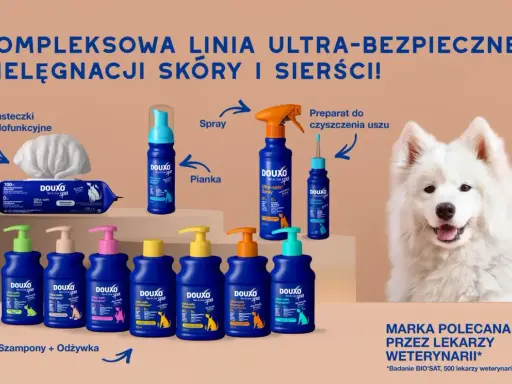 W czym wykąpać psa? Douxo oferuje szampony, odżywki, pianki i spraye do kompleksowej pielęgnacji sierści.