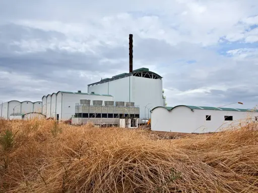 Planta de biomasa industrial con chimenea alta y torres de refrigeración, rodeada de vegetación seca.